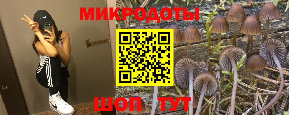 Галлюциногенные грибы MAGIC MUSHROOMS Лысьва